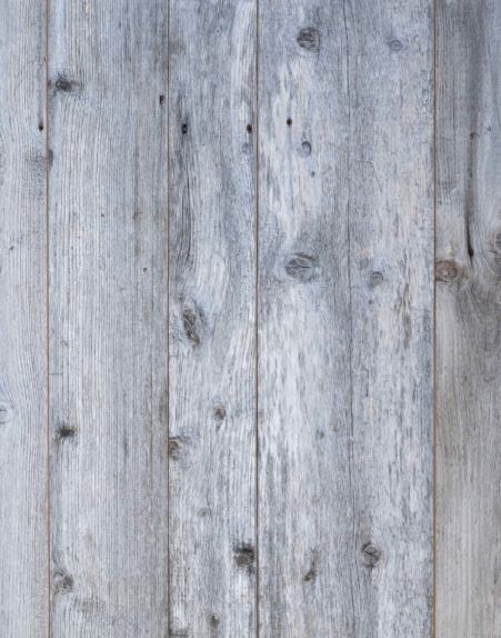 Abete antico grigio bruciato dal sole