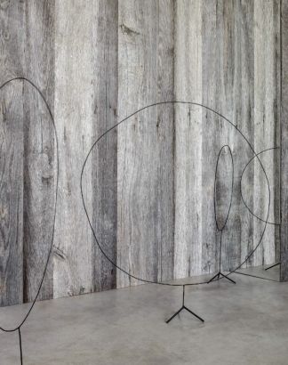 Rovere antico grigio Rovere antico grigio